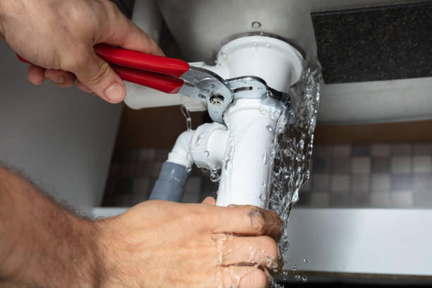 Best Local water damage restoration  in Ellenton, FL