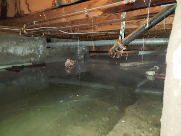 Best Commercial water damage restoration  in Ellenton, FL