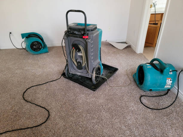 Best Flooded house restoration  in Ellenton, FL