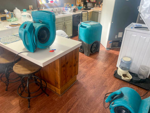  Ellenton, FL Water damage restoration Pros