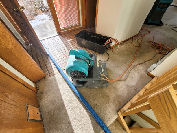 Best Water damage restoration near me  in Ellenton, FL