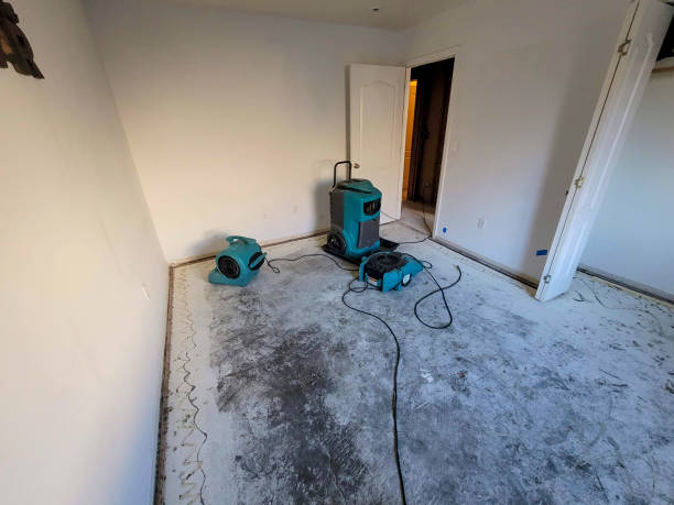 Best Local water damage restoration  in Ellenton, FL