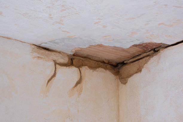 Ellenton, FL Water damage restoration Company
