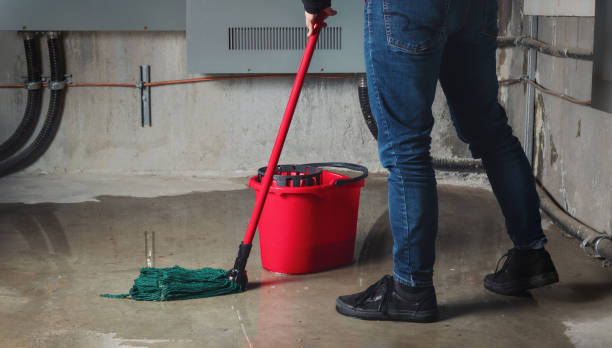 Best Water damage cleanup near me  in Ellenton, FL
