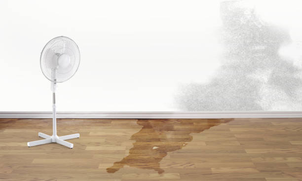 Best 24-hour water damage restoration  in Ellenton, FL