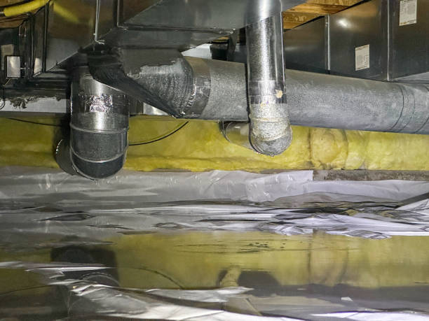 Best Flood restoration services  in Ellenton, FL